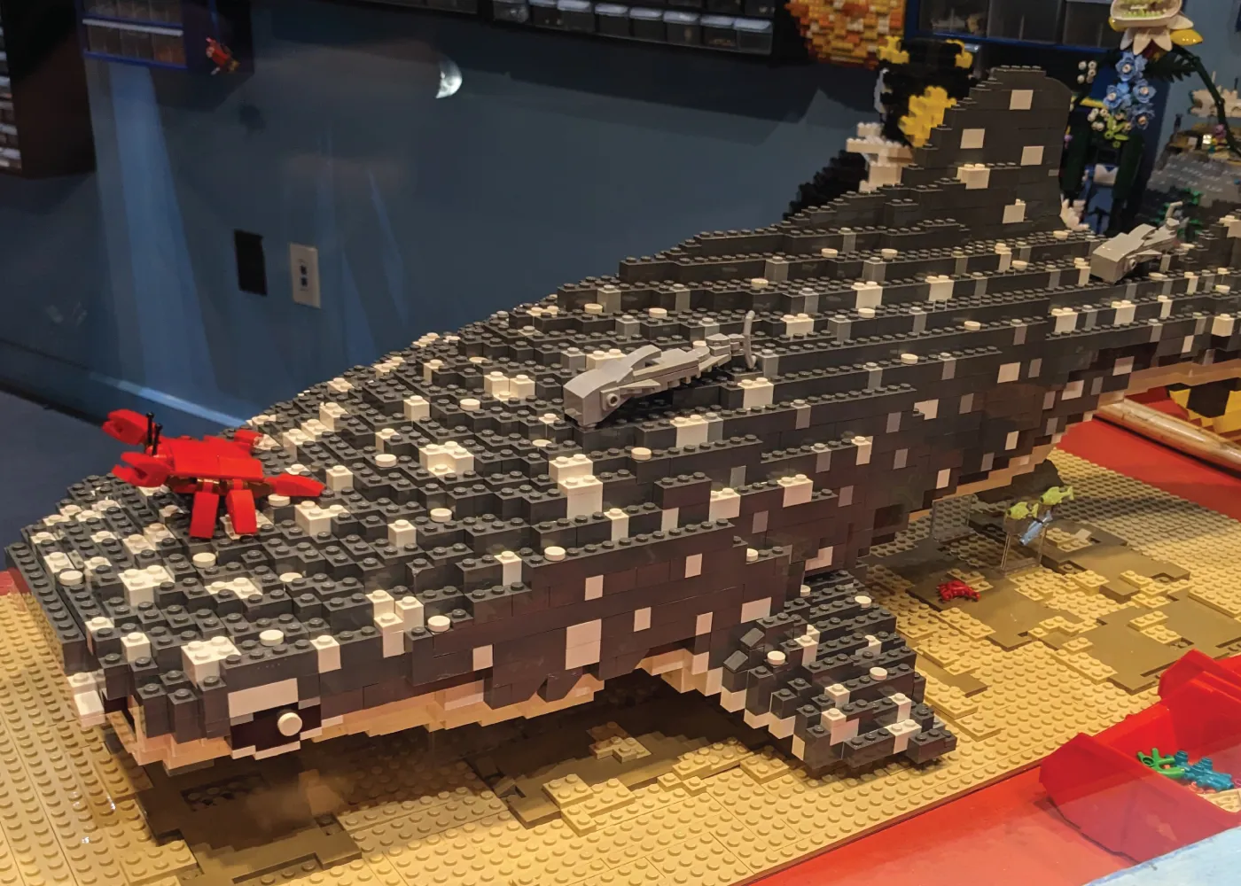 7 5 LEGO Whale